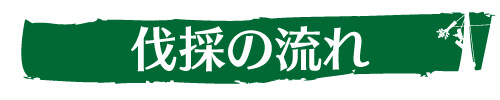 伐採の流れ｜ウッドタワー工法