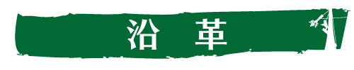 沿革｜ウッドタワー工法