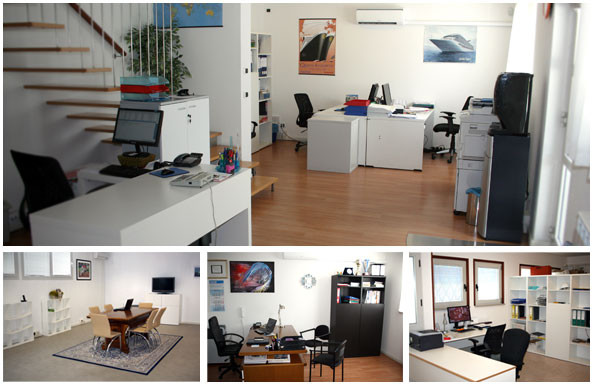 Sultan LTD - Interior