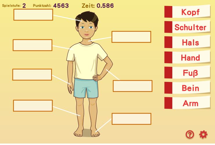 Der Menschliche Korper Klassenhomepage P6a