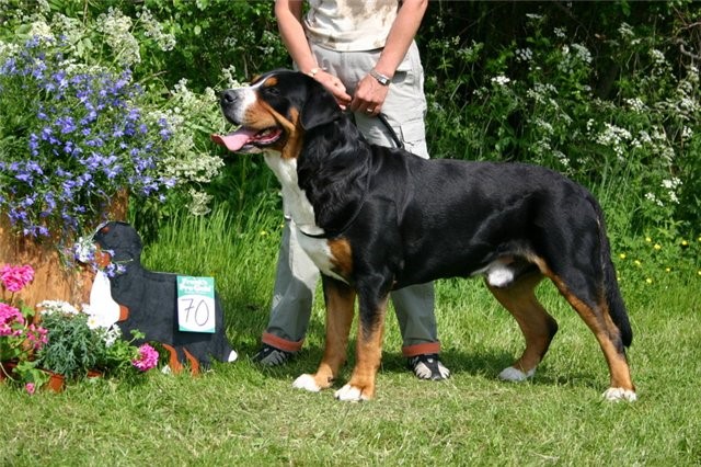 Quentin from Balihara Ranch