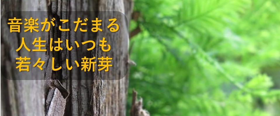 一曲だけのレッスンもご利用できます