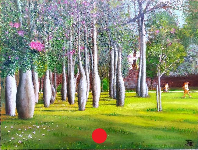 Bosquecillo de ceibas en el Jardín del Turia, con troncos gruesos, césped con pétalos y dos personas caminando al fondo.