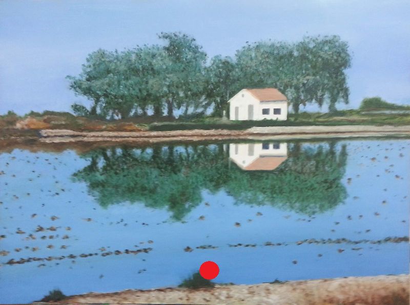 Imagen de una casa junto a una arboleda, reflejada en un arrozal de la albufera