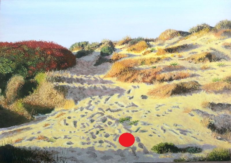 Dunas de El Saler con arena marcada por huellas, vegetación autóctona y luz cálida sobre el paisaje.