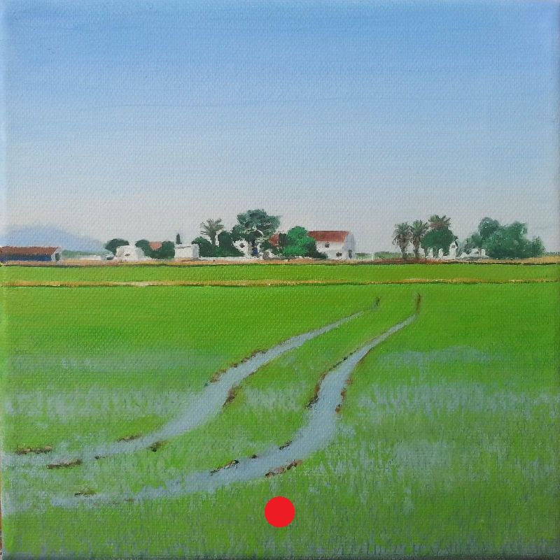 Arrozal verde con surcos curvos llenos de agua, casa de labor con tejados rojos y palmeras al fondo bajo cielo despejado.