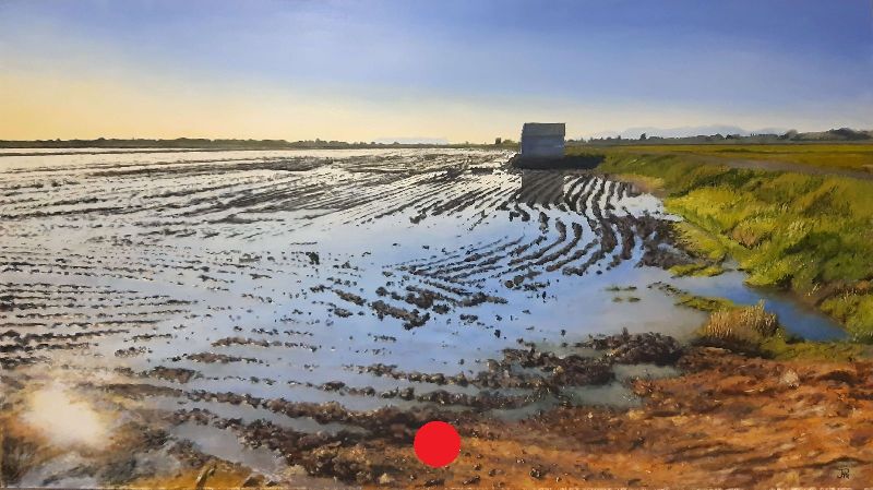 Arrozal inundado con surcos brillantes, reflejos del cielo y una pequeña construcción al fondo en la Albufera.