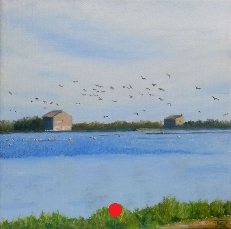 Bandada de pájaros volando sobre un lago tranquilo, con vegetación en primer plano y dos casitas al fondo bajo un cielo parcialmente nublado.