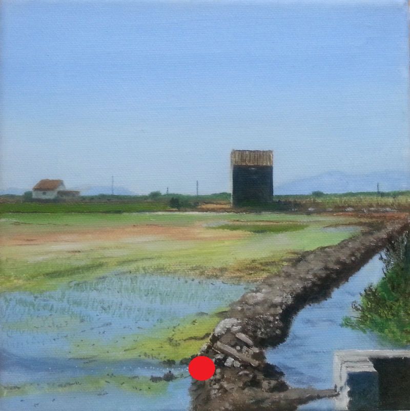 Acequia con estructura de ladrillo junto a un arrozal húmedo, caseta al fondo y cielo despejado.