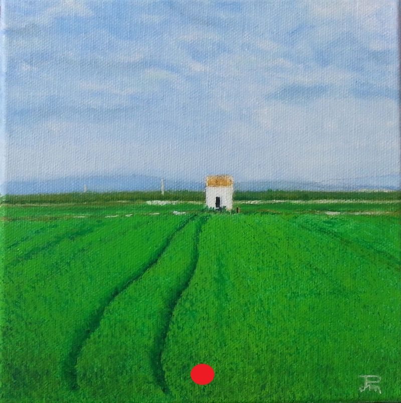 Arrozal verde y frondoso con dos surcos curvos que avanzan hacia una casita blanca bajo un cielo azul con nubes.