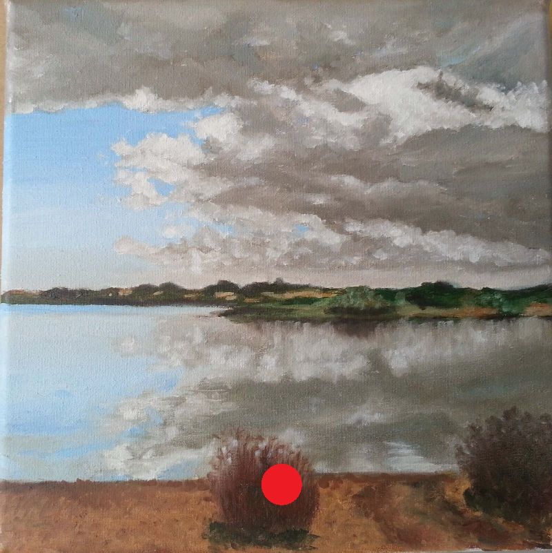 Cielo parcialmente nublado reflejado en un estanque tranquilo, con vegetación baja en primer plano y una franja de tierra verde en el horizonte.