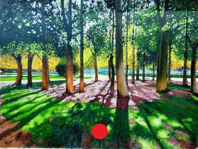 Bosquecillo del Jardín del Turia con árboles altos en contraluz, sombras alargadas y luz filtrada entre las hojas.