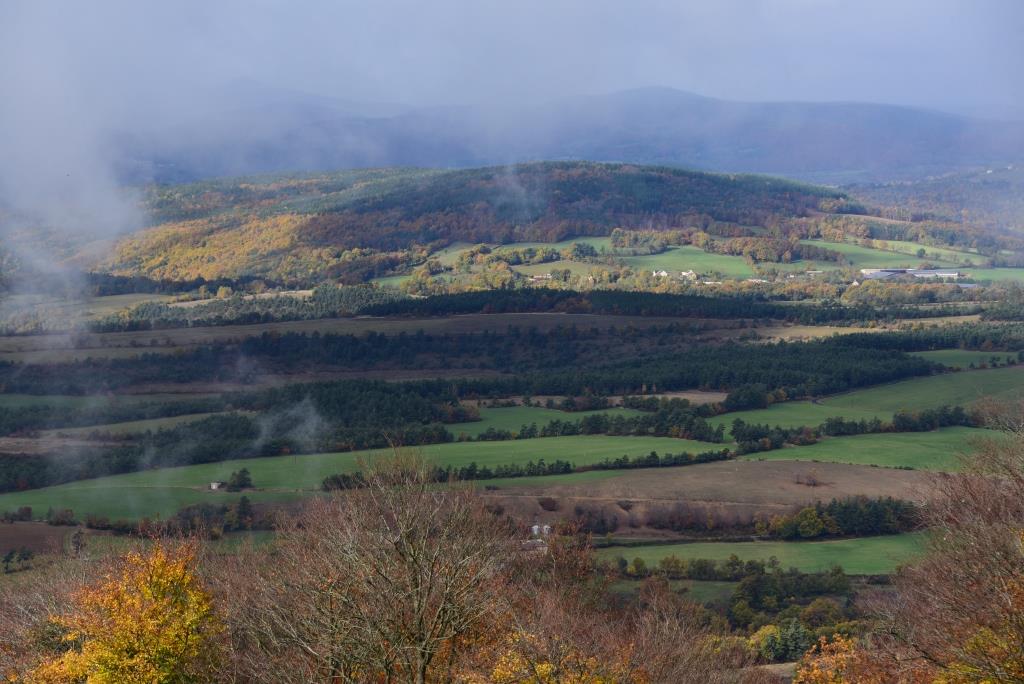 Plos de l'Aubrac embrumés