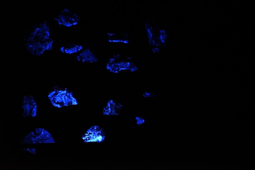 fluorescence au cap de la chèvre