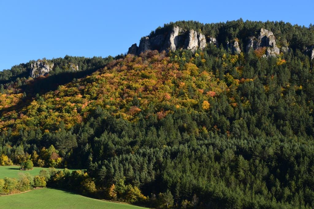 Zoom sur les premières falaises des Causses
