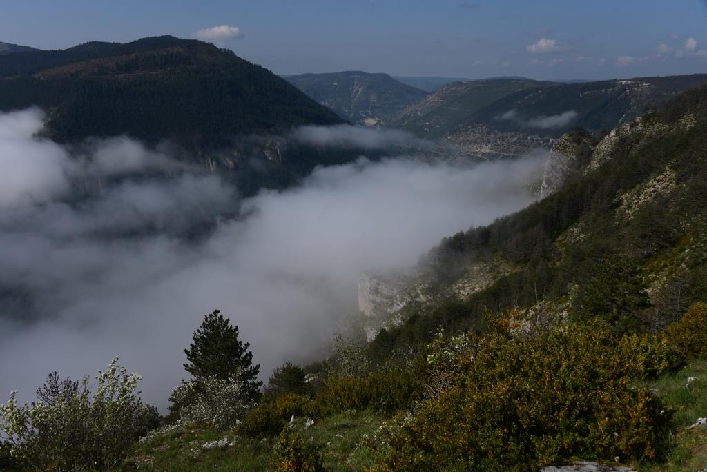 mer de nuages sur le Tarn