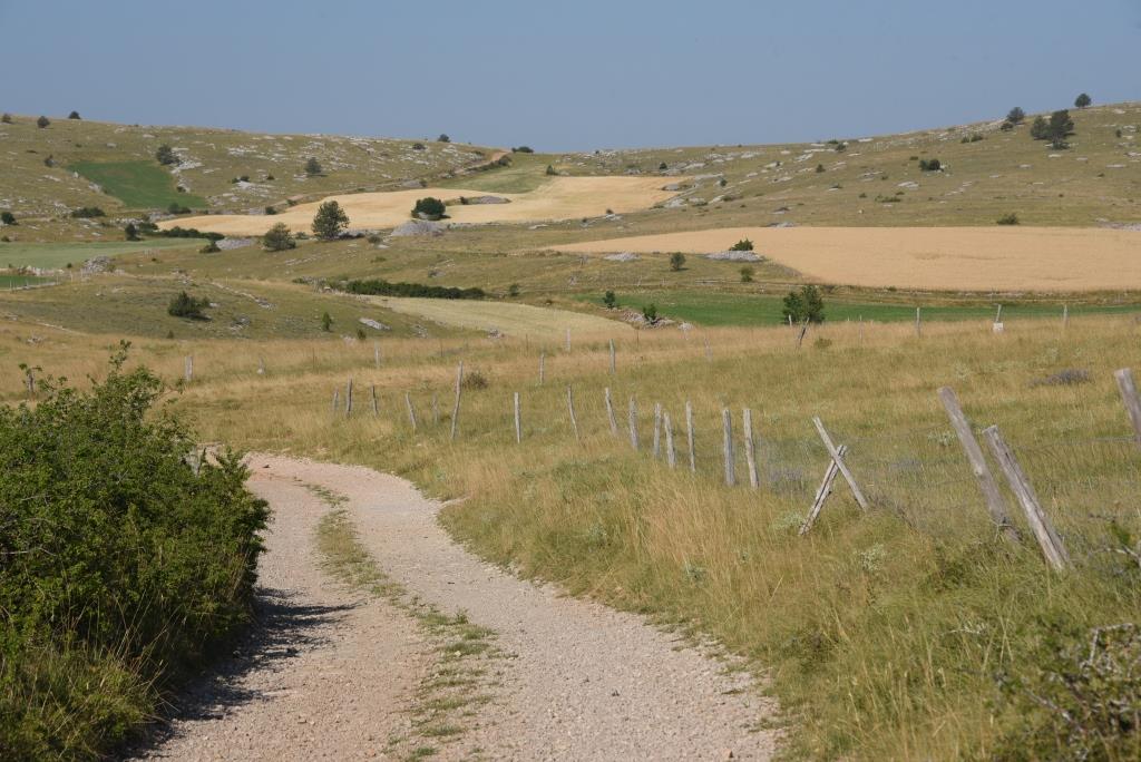 chemin du Causse