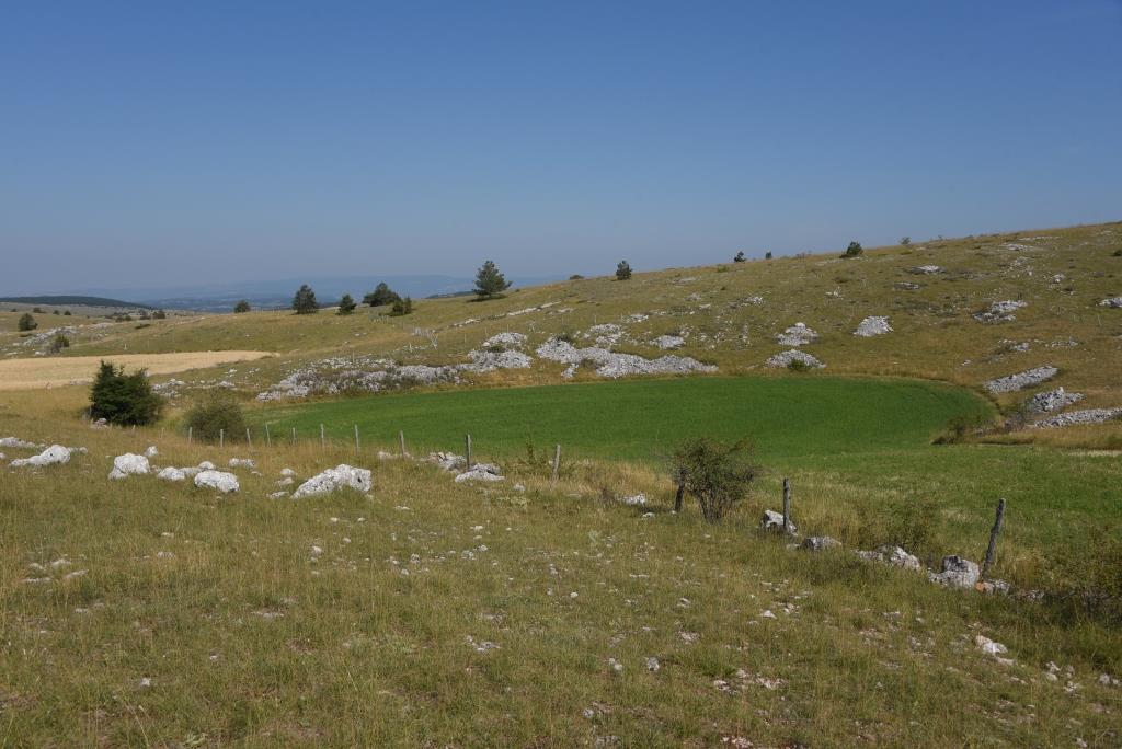 la doline verte