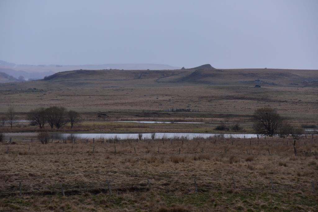 tourbière sur l'Aubrac