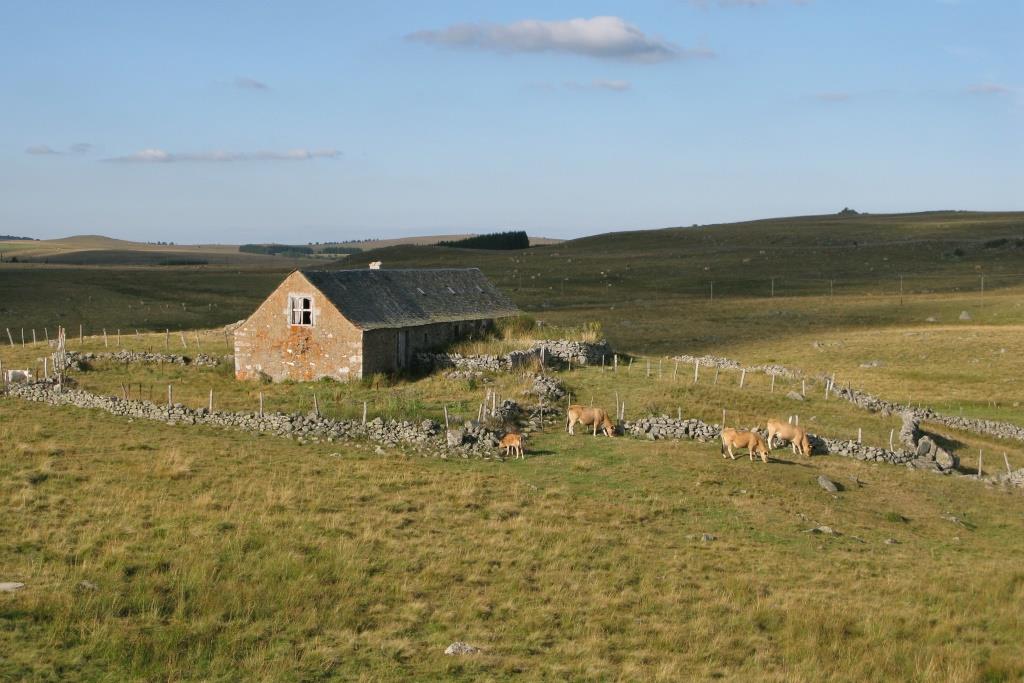 buron en Aubrac