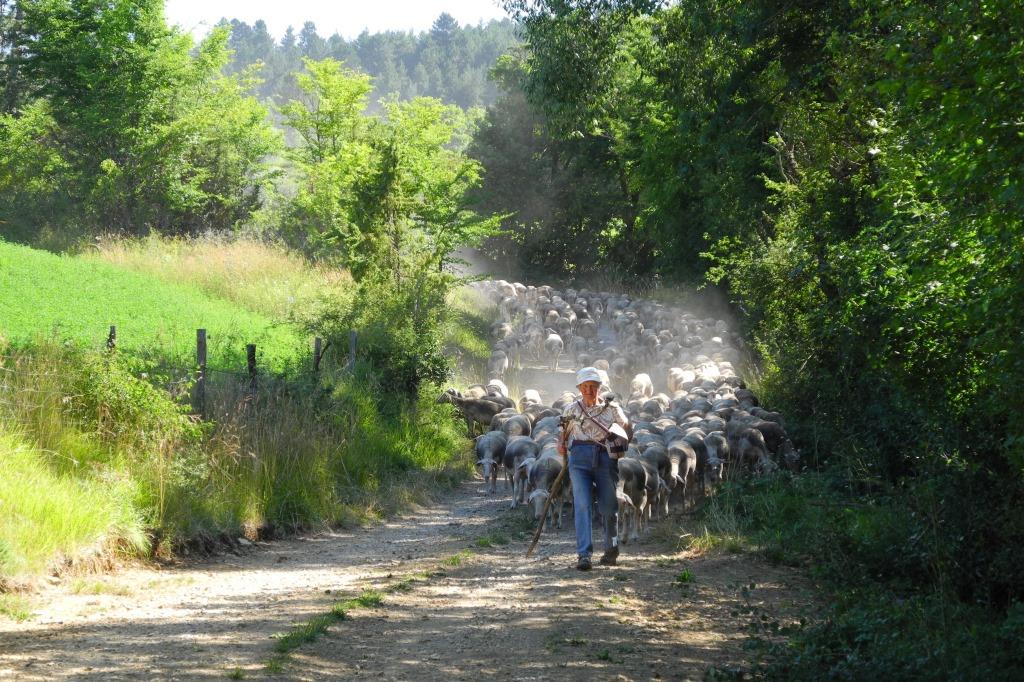 retour à la ferme