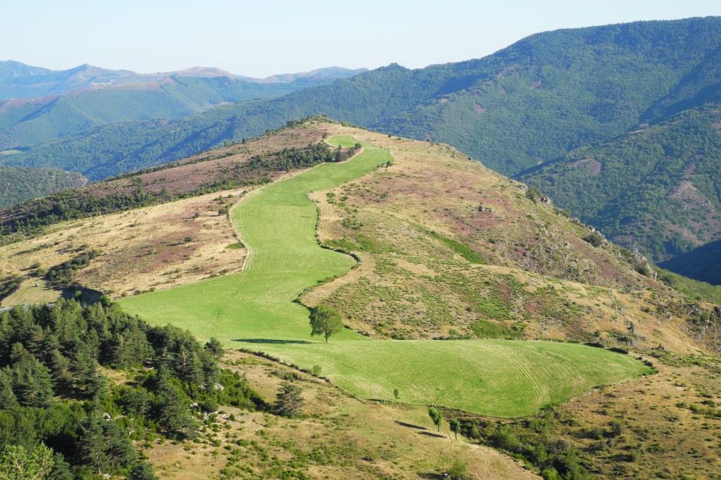 pâture gagnée sur la lande