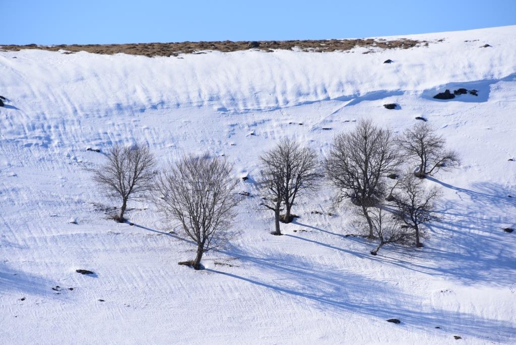 hiver en Aubrac