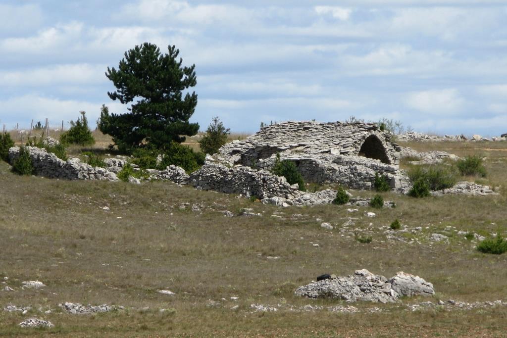 bergerie en vue