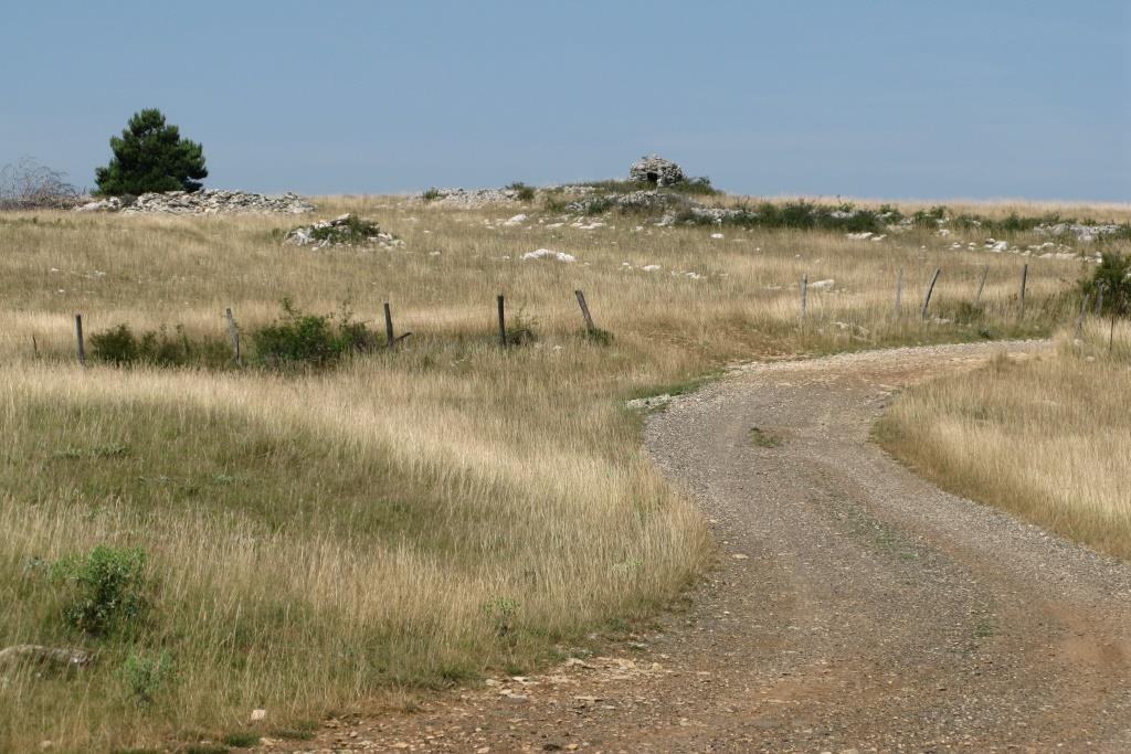 croisée des chemins