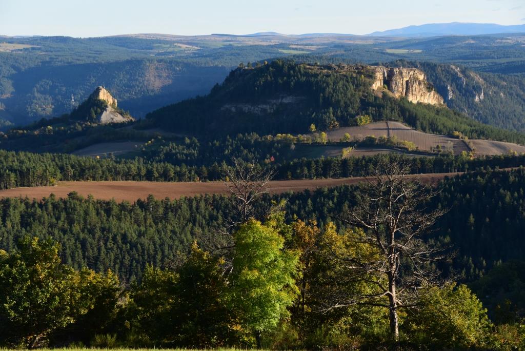 Cénaret et Chastelvieil