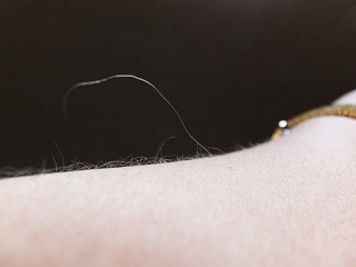 宝毛って ご存じですか なおすけ研究所 宝毛って ご存じですか なおすけ研究所