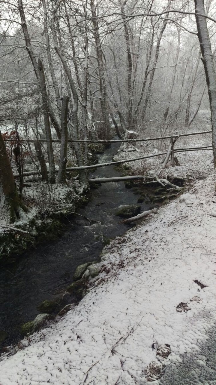 Holzbachschlucht