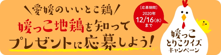 媛っことりこクイズキャンペーン