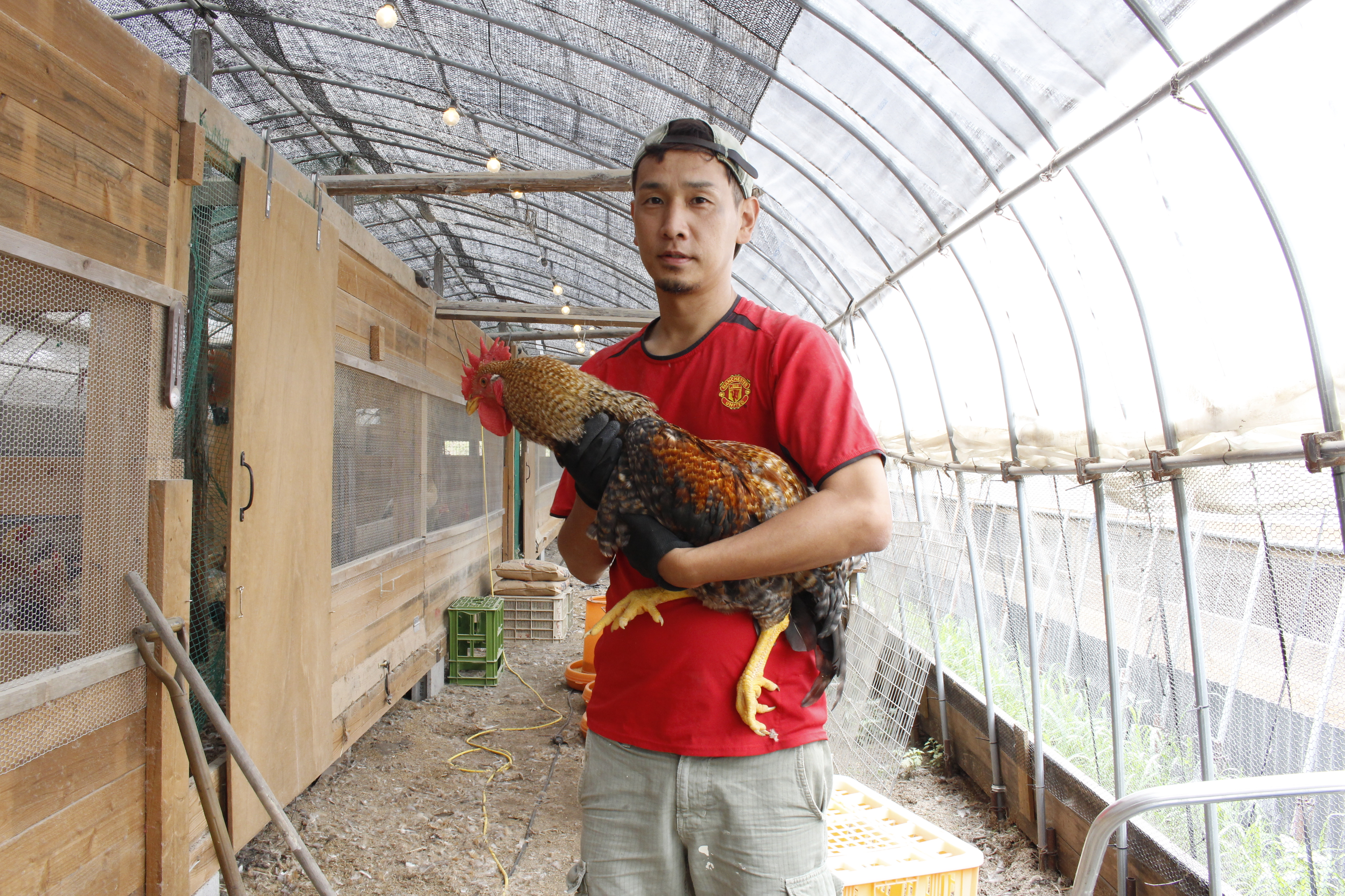 媛っこ地鶏生産者 媛っこ地鶏振興協議会 公式サイト