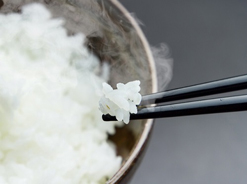 食と健康のお話～毎日の食事には、お腹に優しいお米「ササニシキ」がおすすめ～ 