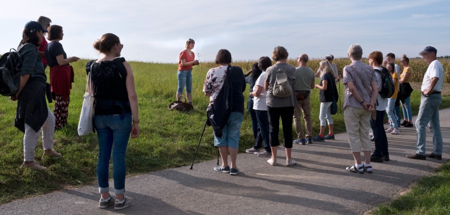 Großes Interesse an Kräutern der Umgebung,Foto: S. Gandert