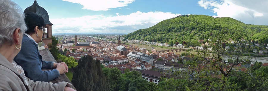 Blick über Heidelberg