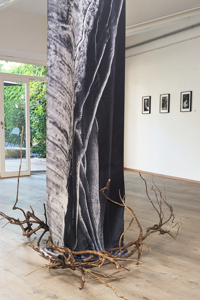 installation Baum #2, 2018, exhibition 'u e b e r_l e b e n', 2023, Sept