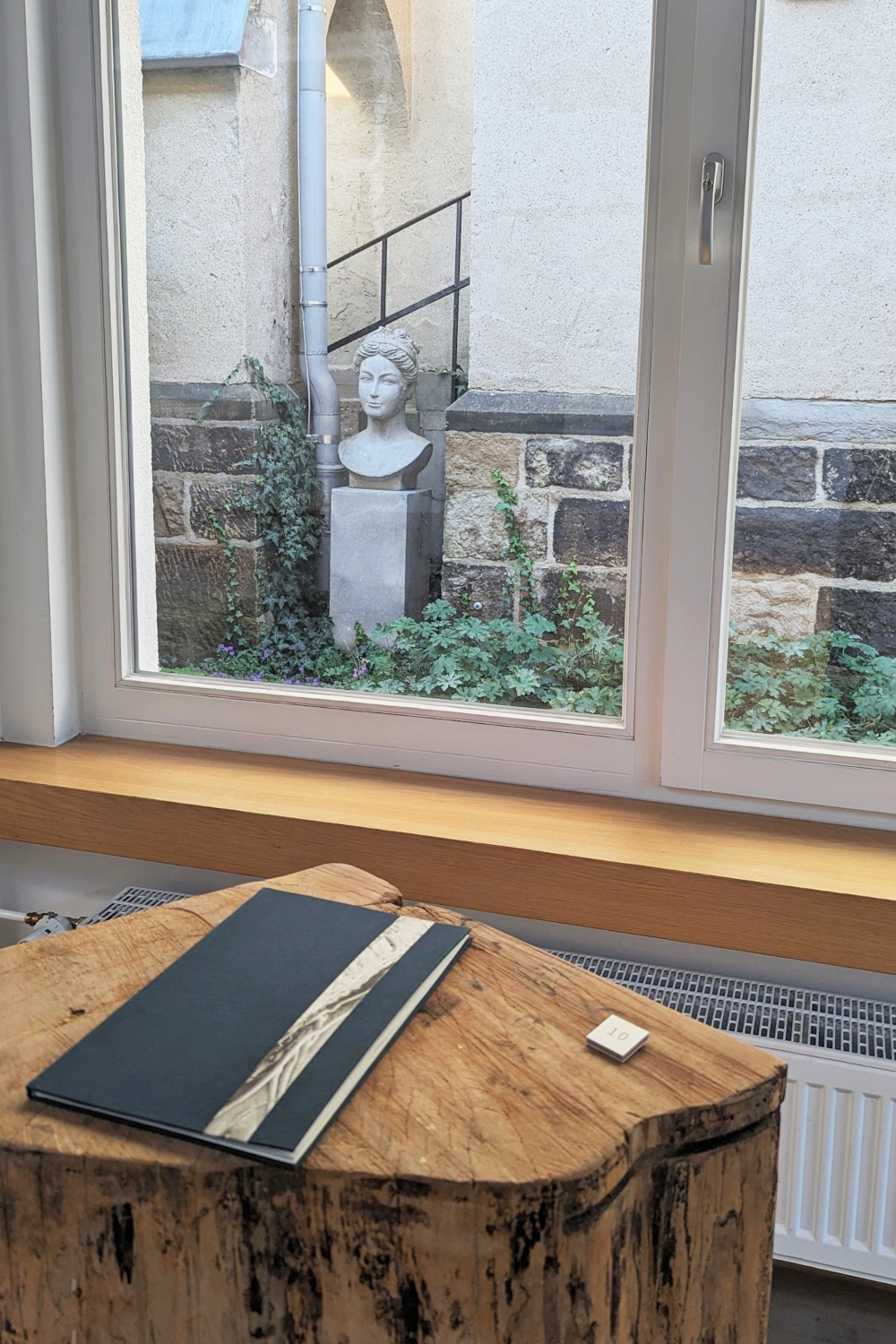 Kirsten Radermacher, book zoë (2023)