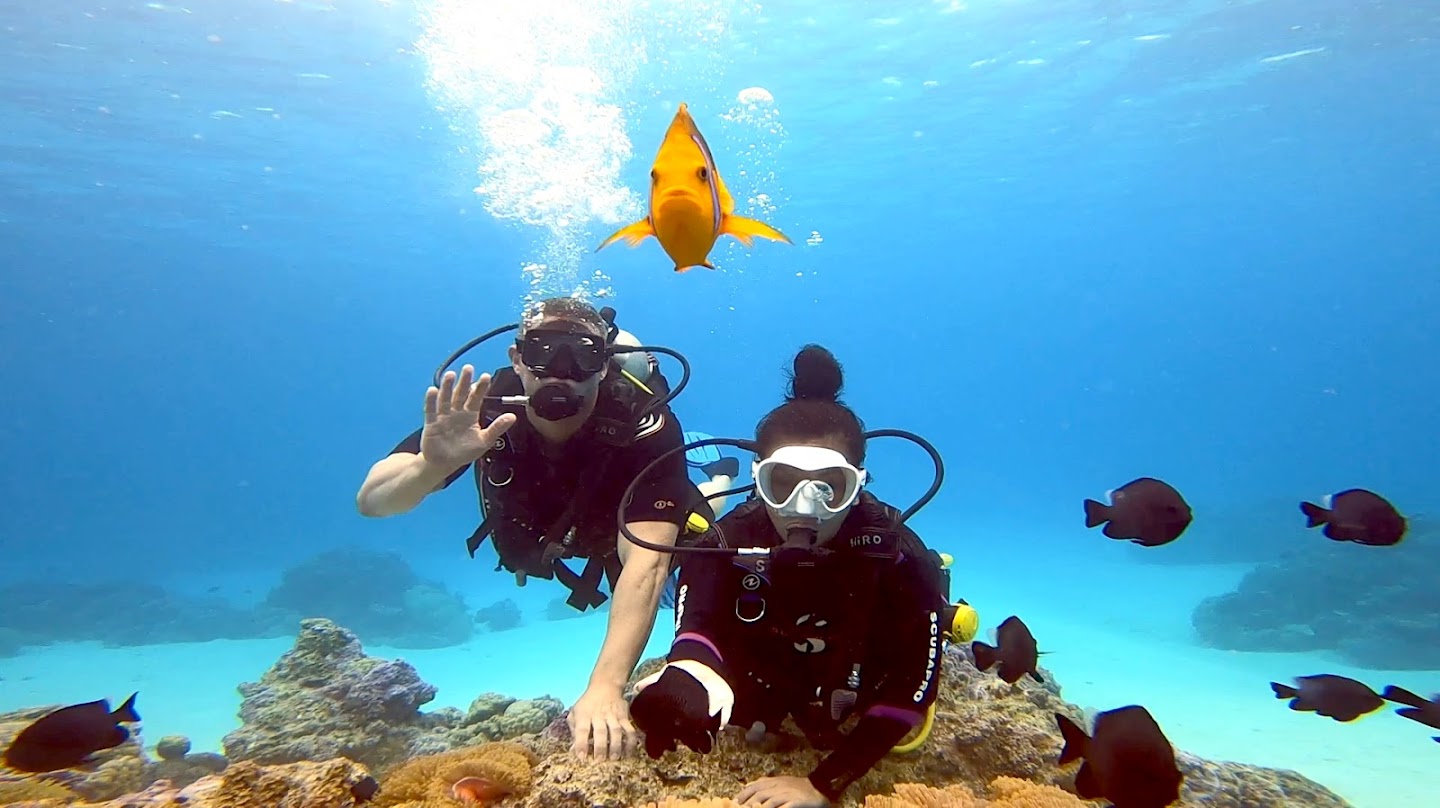 10. How to Prepare for Your First Dive in Bora Bora