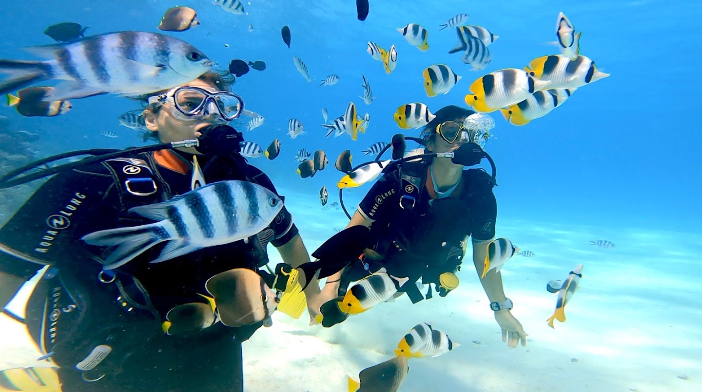 2. Private Scuba Diving in Bora Bora: Is It Worth It?