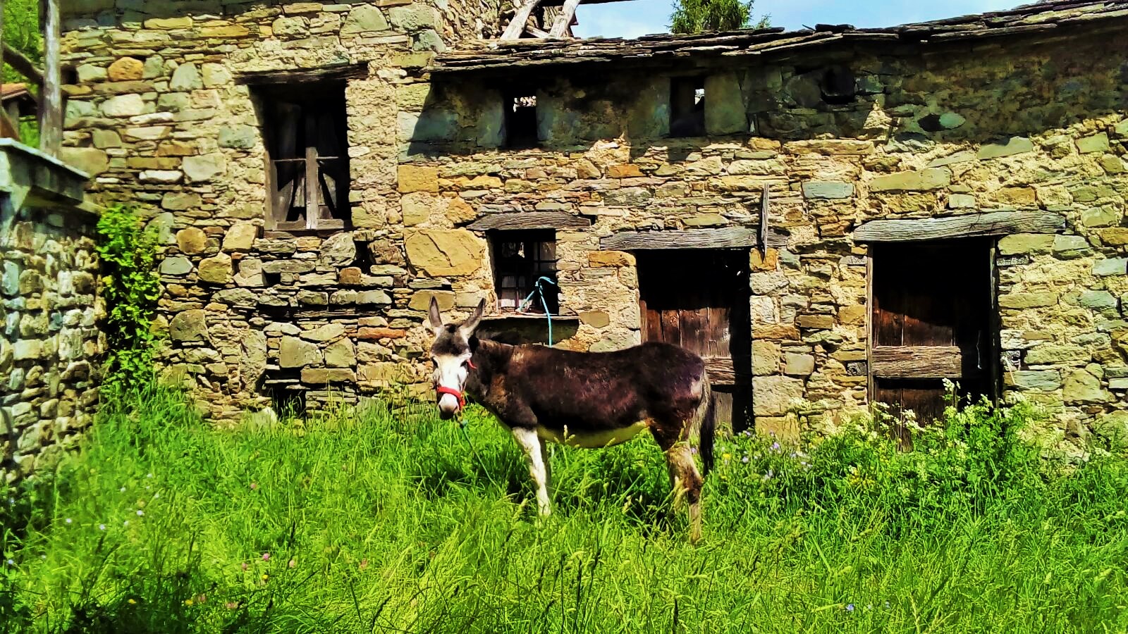 Lisore di Cerignale (PC)  13 maggio  - Giornata della Lumaca - I NOSTRI SRAVEIGHI 