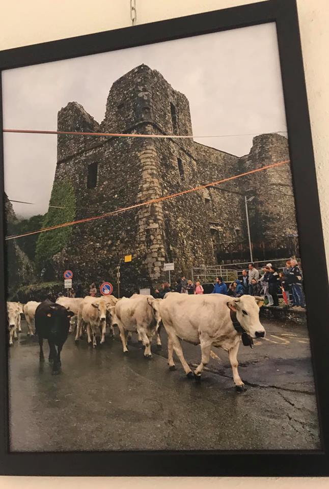 Rivergaro: Mostra spazio permanente "Percorsi diversi" del  Centro di Lettura   " EMOZIONI E TRADIZIONI DELLE NOSTRE VALLI "  di Anita Santelli - Claudio Rancati - Giacomo Turco - Renzo Oroboncoidi  dal 2 al 22 febbraio