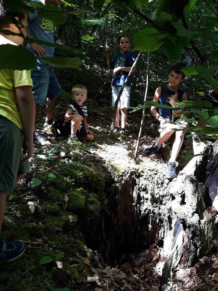 Lisore di Cerignale (PC)     8 luglio  - Giornata della volpe     Una giornata in alta Val Trebbia per tutta la famiglia  ma dedicata ai bambini      I NOSTRI SRAVEIGHI ...  i bambini selvatici