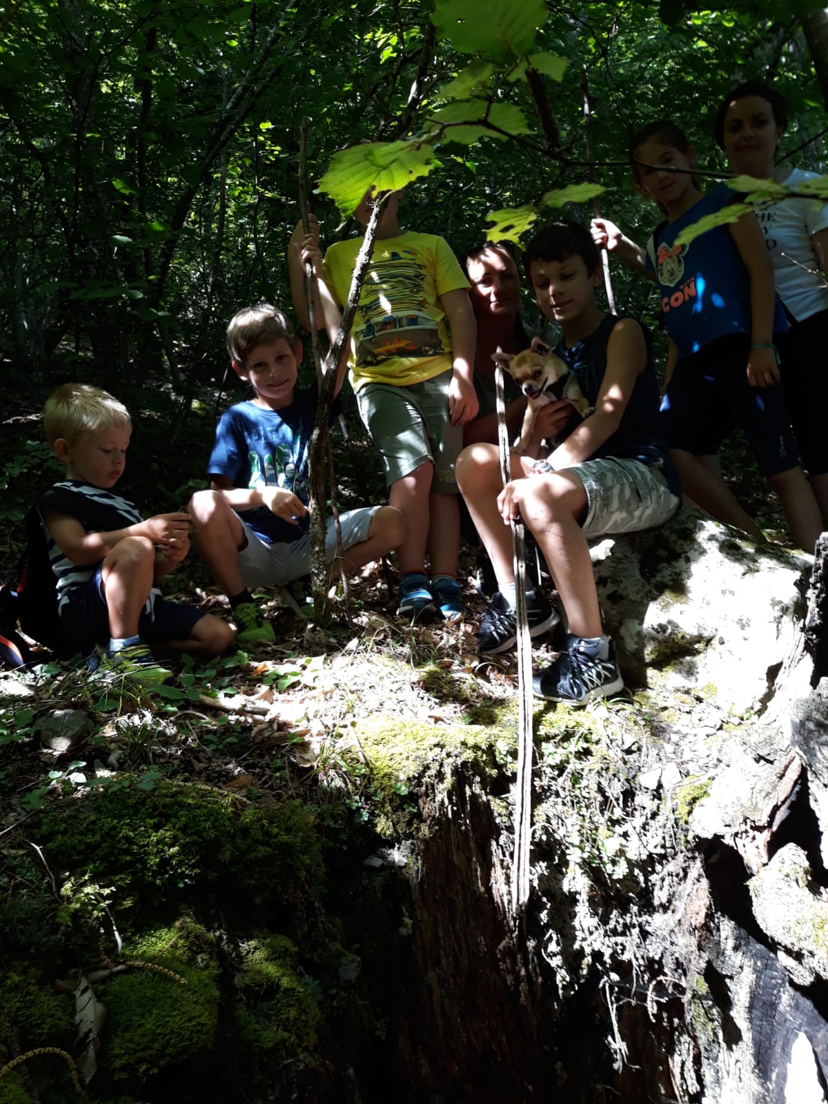 Lisore di Cerignale (PC)     8 luglio  - Giornata della volpe     Una giornata in alta Val Trebbia per tutta la famiglia  ma dedicata ai bambini      I NOSTRI SRAVEIGHI ...  i bambini selvatici