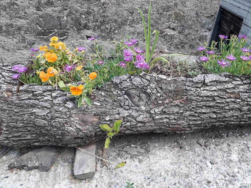 Lisore di Cerignale (PC)     8 luglio  - Giornata della volpe     Una giornata in alta Val Trebbia per tutta la famiglia  ma dedicata ai bambini      I NOSTRI SRAVEIGHI ...  i bambini selvatici