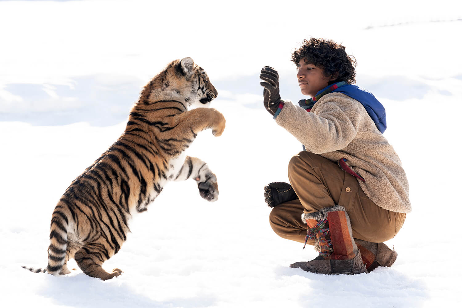IL RAGAZZO E LA TIGRE – Niviano giovedì 22 agosto ore 21:15