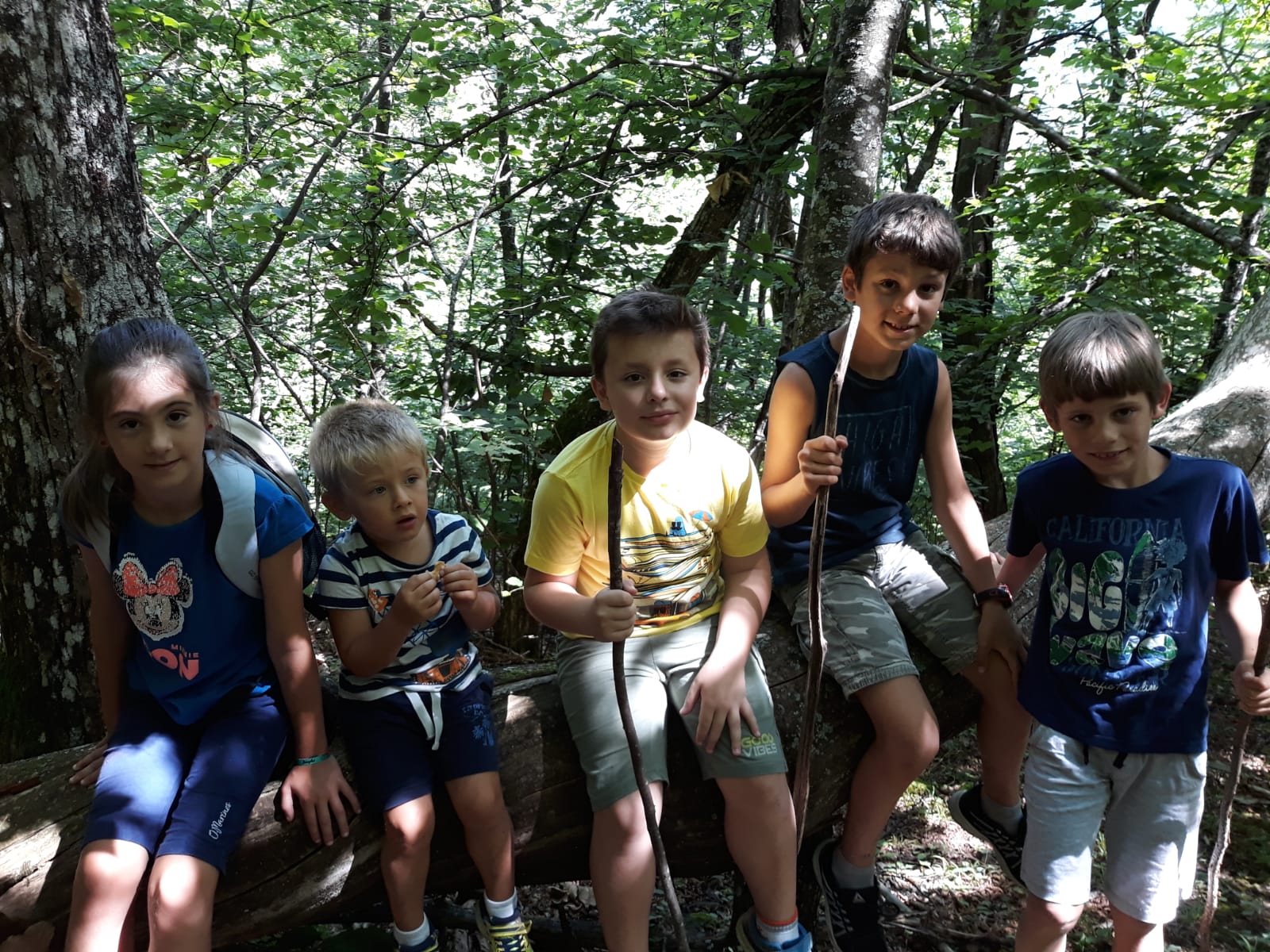 Lisore di Cerignale (PC)     8 luglio  - Giornata della volpe     Una giornata in alta Val Trebbia per tutta la famiglia  ma dedicata ai bambini      I NOSTRI SRAVEIGHI ...  i bambini selvatici