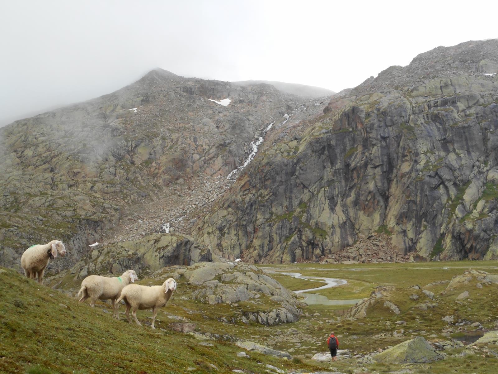 Montée matinale et fraiche au PetznerSee (2689m)