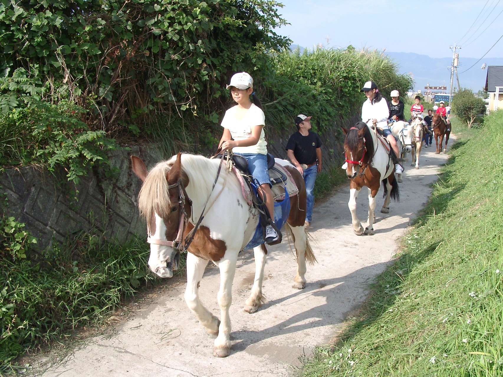 阿蘇高森町の乗馬クラブ ブルーグラス horse back riding 阿蘇高森の